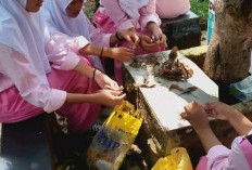 Aplikasikan P5, Siswa SMKN 1 Banyuasin III Buat Pupuk Kompos