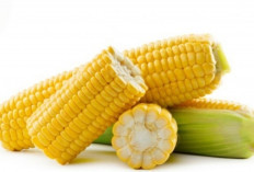 Vitamin, Mineral, dan Sejuta Manfaat dalam Jagung