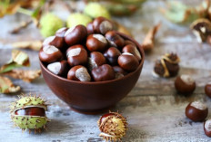 Chestnut: Kacang dengan Kandungan Serat Tertinggi untuk Kesehatan Pencernaan