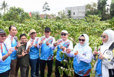 Pj Gubernur Sumsel: Branding Kopi Ranau Agar Lebih Lebih Terkenal