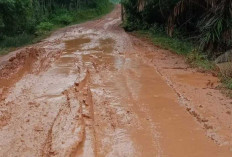 Pj Bupati Banyuasin Respon Keluhan Masyarakat, Kerusakan Jalan Sidang Emas Rimba Alai Segera Diperbaiki !