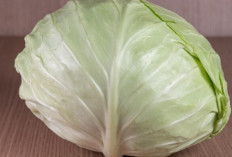 Sayur Sejuta Umat Ini Ternyata Ampuh Lawan Penyakit Berbahaya!