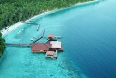 7 Aktivitas Seru yang Wajib Dicoba Saat Liburan di Pantai Derawan