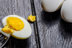 Kuning Telur Jangan Dibuang! Ini Rahasia Cerdasnya untuk Otak