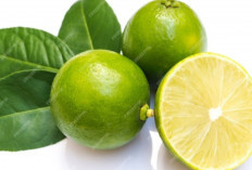 Turun Berat Badan Tanpa Ribet! Coba Minum Jeruk Nipis Sebelum Makan, Hasilnya Mengejutkan!