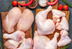 Lebih Sehat Ayam Kampung atau Ayam Negeri? Simak Kandungan Gizinya