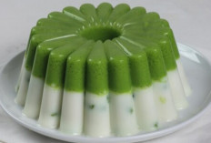 Resep Puding Lumut Pandan: Lezat, Segar, dan Mudah Dibuat di Rumah