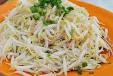 Turunkan Berat Badan Lebih Mudah dengan Konsumsi Tauge