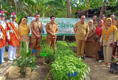 Dukung Gertas, SMPN 2 Banyuasin III Tanam Berbagai Jenis Sayur dan Buah -buahan