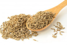 Jinten, Solusi Herbal untuk Pencernaan, Gula Darah, dan Kolesterol