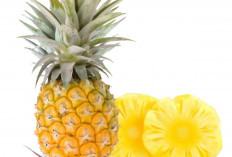 Jangan Asal Buang! Bonggol Nanas Ternyata Kaya Manfaat