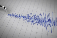 Gempa Megathrust: Monster Geologi yang Membangkitkan Tsunami