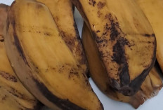 Meredakan Asam Lambung Secara Alami dengan Pisang Kepok Rebus