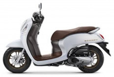 New Honda Scoopy, Motor dengan Bagasi Luas yang Siap Temani Mobilitas Harian Anda