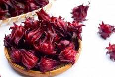 Minum Teh Rosella Setiap Hari? Ini Efek Mengejutkan pada Sistem Imun Tubuhmu!
