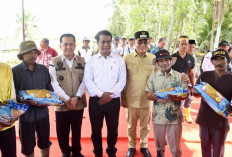 Produktivitas Padi Sumsel Tertinggi di Sumatera, Ke-4 Nasional