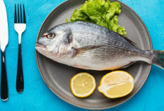 Konsumsi Ikan Saat Hamil: Kunci Perkembangan Otak Janin dan Cegah Autisme