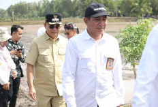 100.000 Hektare Lahan Rawa di Sumsel Menjadi Pertanian Modern