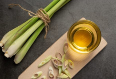 Khasiat Air Rebusan Serai untuk Diet dan Detoks Tubuh