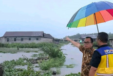 Pj Bupati Banyuasin Tinjau Normalisasi Sungai Bom Berlian di Saat Hujan, Ternyata Untuk Memastikan Ini!