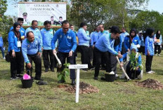 Puncak HLHS, DLH Banyuasin Tanam Pohon Alpukat Hijaukan Lingkungan 