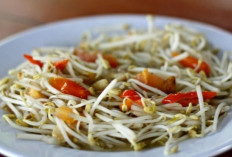 Ingin Cepat Punya Momongan? Konsumsi Tauge Secara Rutin