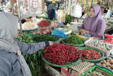 Harga Cabai di Pasar Pangkalan Balai Masih Tinggi, Petani Diharap Segera Panen