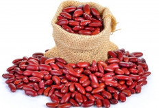 Bikin Awet Muda dan Cegah Kanker! Ini Rahasia Dahsyat di Balik Kacang Merah yang Jarang Diketahui