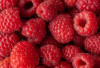 Raspberry, Buah Cantik Penangkal Penyakit: Dari Jantung Sehat hingga Kulit Glowing