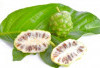 Atasi Arthritis dengan Mengkudu, Herbal Kaya Antiinflamasi