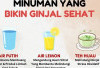 6 Minuman Penyegar yang Bantu Ginjal Bersih dari Racun