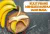 Jangan Dibuang! Ternyata Kulit Pisang Miliki Banyak Manfaat