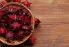 Tak Disangka, Bunga Cantik Ini Bisa Jadi Obat Alami Sembelit dan Asam Lambung