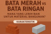 Bata Merah atau Bata Ringan? Simak Perbandingan Lengkap Sebelum Memilih
