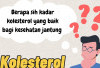 Berapa Kadar Kolesterol Ideal untuk Menjaga Kesehatan Jantung? Ini Penjelasannya