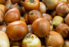 Cuma dari Dapur! Bawang Bombai Ternyata Ampuh Tangkal Penyakit Jantung dan Kanker!