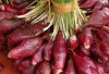Bawang Dayak dan Kandungan Alaminya yang Efektif Atasi Diabetes