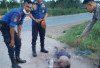 Pria Tanpa Identitas Ditemukan Tak Bernyawa di Gasing Banyuasin