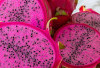 Kulit Buah Naga Merah Mengandung Antosianin dan Flavonoid, Ini Khasiatnya