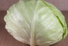 Sayur Sejuta Umat Ini Ternyata Ampuh Lawan Penyakit Berbahaya!
