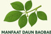 Daun Ki Tambleg, Herbal Penurun Demam dan Pereda Batuk Alami